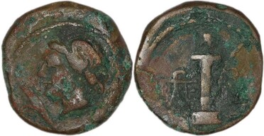 ������: 286-4014