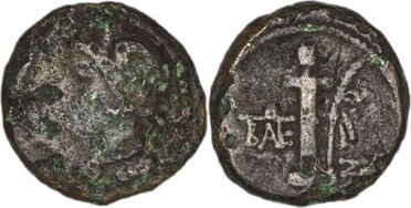 ������: 286-4014