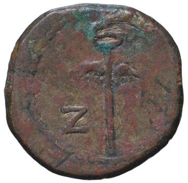 ������: 290-4016