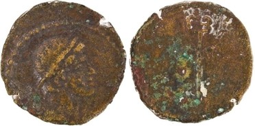 : 290-4016