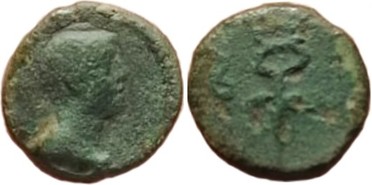 ������: 291-4874