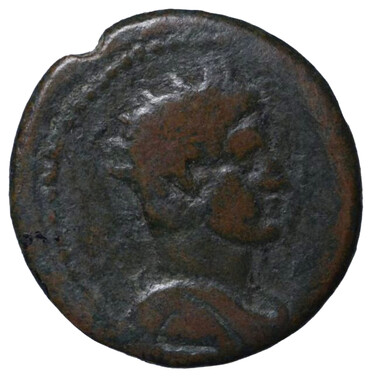 ������: 294-4246