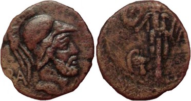 ������: 295-4704