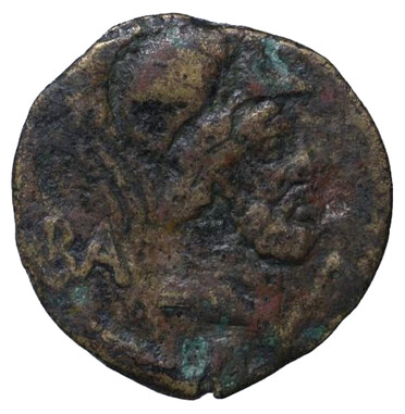 ������: 295-4704