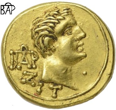 ������: 302-5233