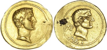 ������: 305-5285