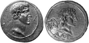 ������: 314-4217