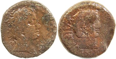 : 319-4154
