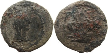 ������: 323-4083