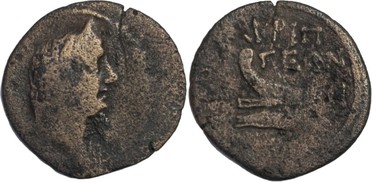 ������: 323-4083