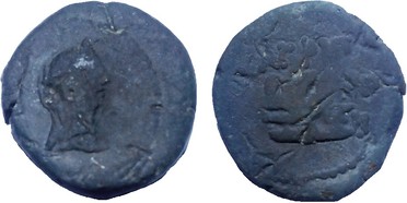 ������: 323-4083