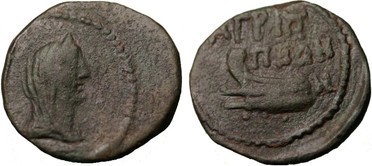 ������: 323-4083