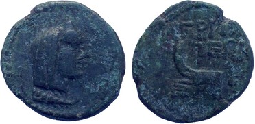 ������: 323-4083