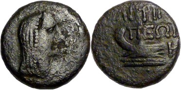 ������: 323-4083