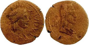 ������: 326-4077