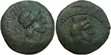 ������: 326-4077