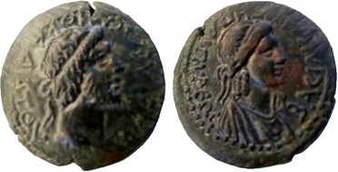 ������: 331-4779