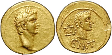 ������: 333-4443