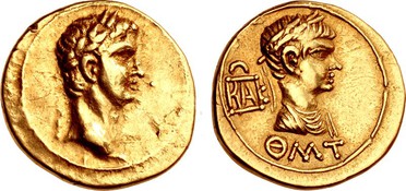 ������: 335-4354