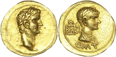 ������: 335-4354