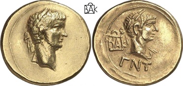 ������: 338-2143