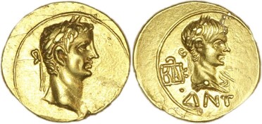 ������: 339-5298