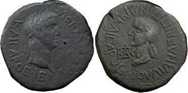 ������: 344-4023