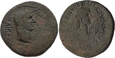 ������: 344-4802