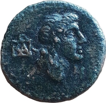 ������: 345-4006