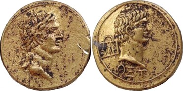 ������: 356-4942