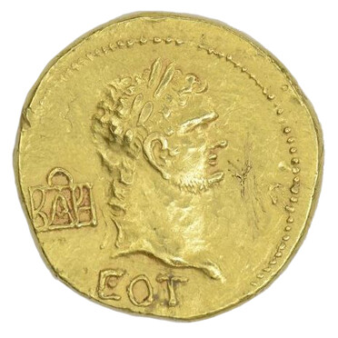 ������: 359-5312