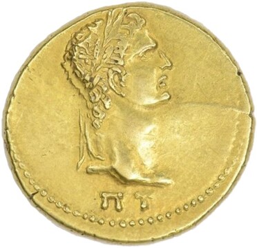 ������: 363-4257