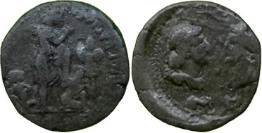 ������: 382-4489