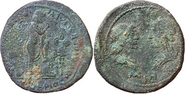 ������: 382-4489