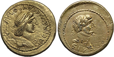 ������: 408-4462