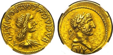 ������: 409-4264