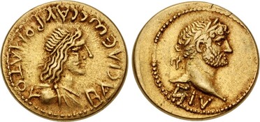 ������: 409-4264