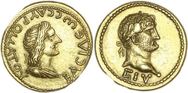 ������: 409-4264