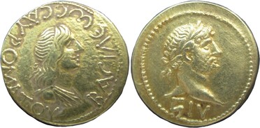 ������: 409-4264