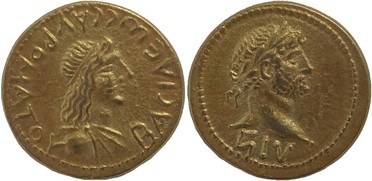 ������: 409-4264