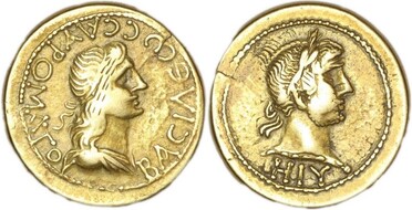 ������: 411-4474