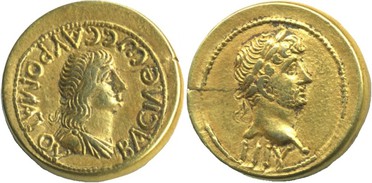 ������: 411-4474