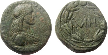 ������: 419-4502