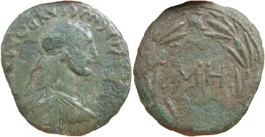 ������: 419-4502