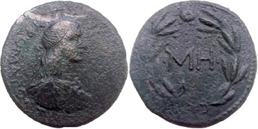 ������: 419-4502