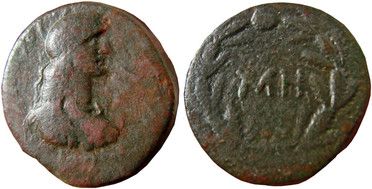 ������: 419-4502