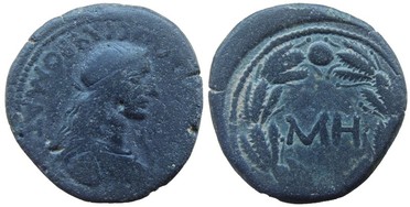 ������: 419-4502