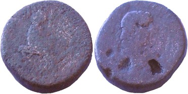 ������: 423-4981