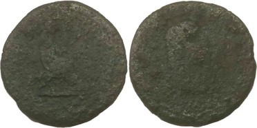 ������: 423-4981