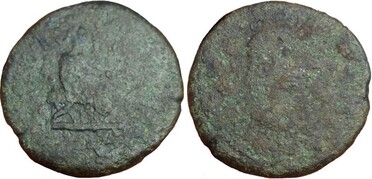 ������: 423-4981